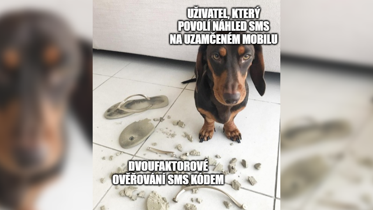 Zábavný obrázek