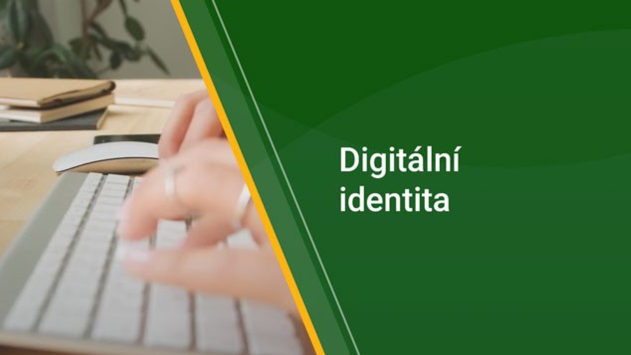 Víte, jaká je vaše digitální identita? Pozor na to, co o vás prozradí internet